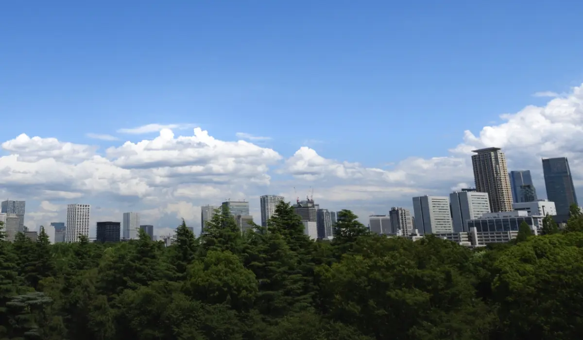 可持续发展管理