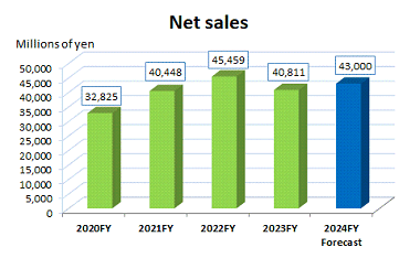 Net Sales