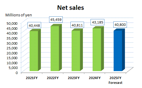 Net Sales